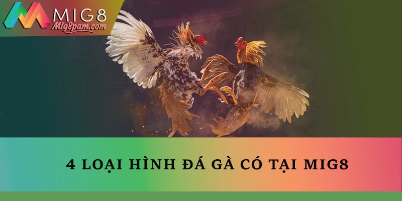 4 loại hình đá gà có tại nhà cái